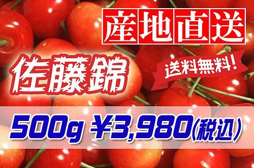 さくらんぼ「佐藤錦」予約受付中です!