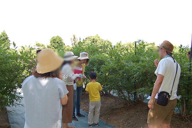 庄内恋愛教習所