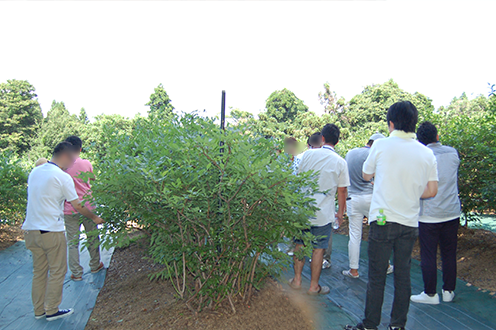 庄内恋愛教習所