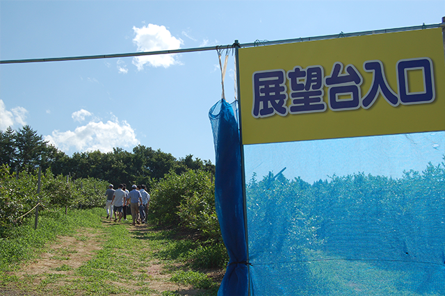 庄内恋愛教習所