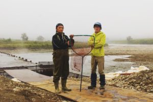 鮭川村の「鮭／ようのじんぎり」のオーナーになりませんか？