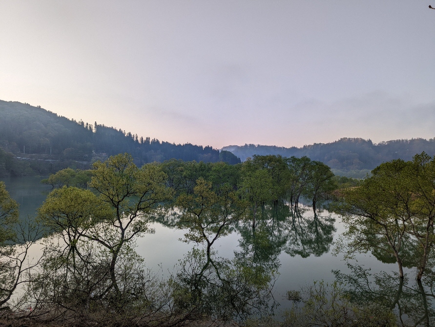 山形いいね