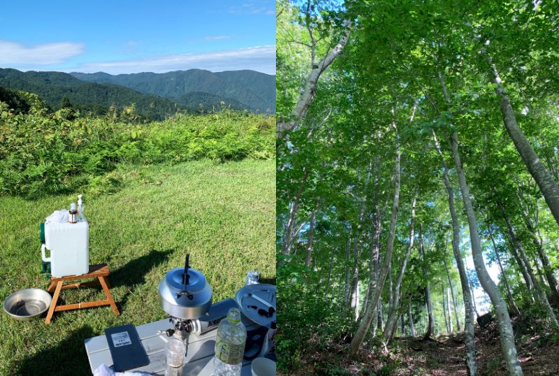 山形いいね