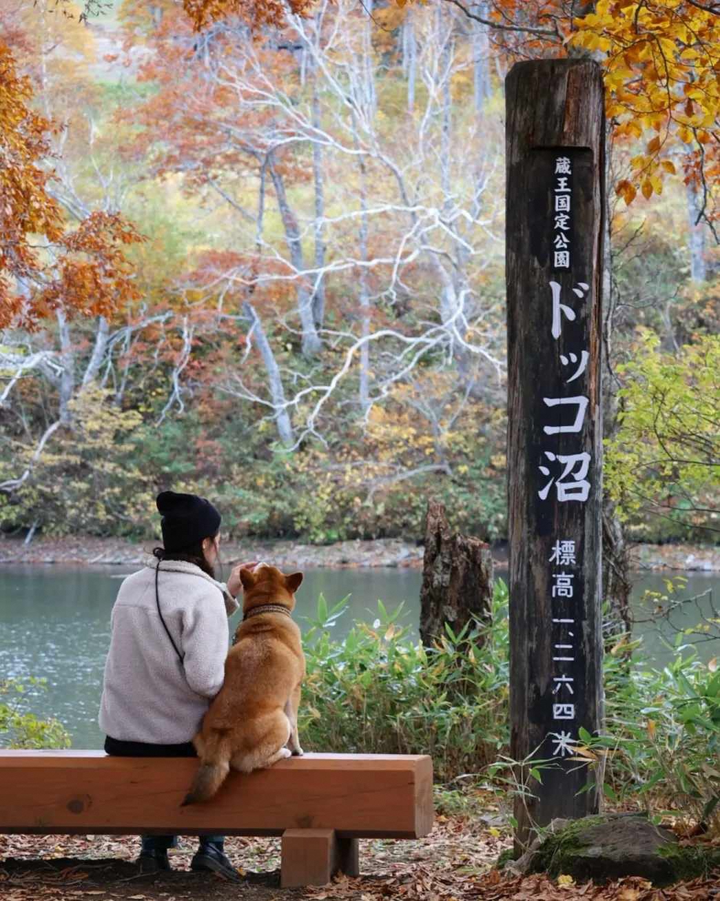 山形いいね