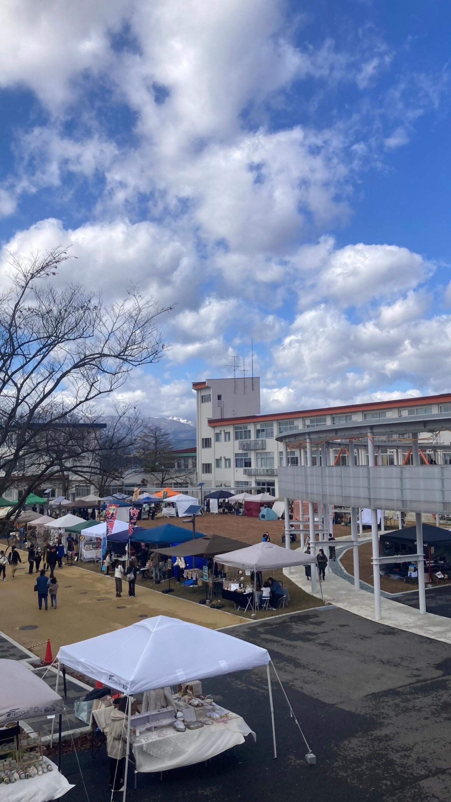 山形いいね