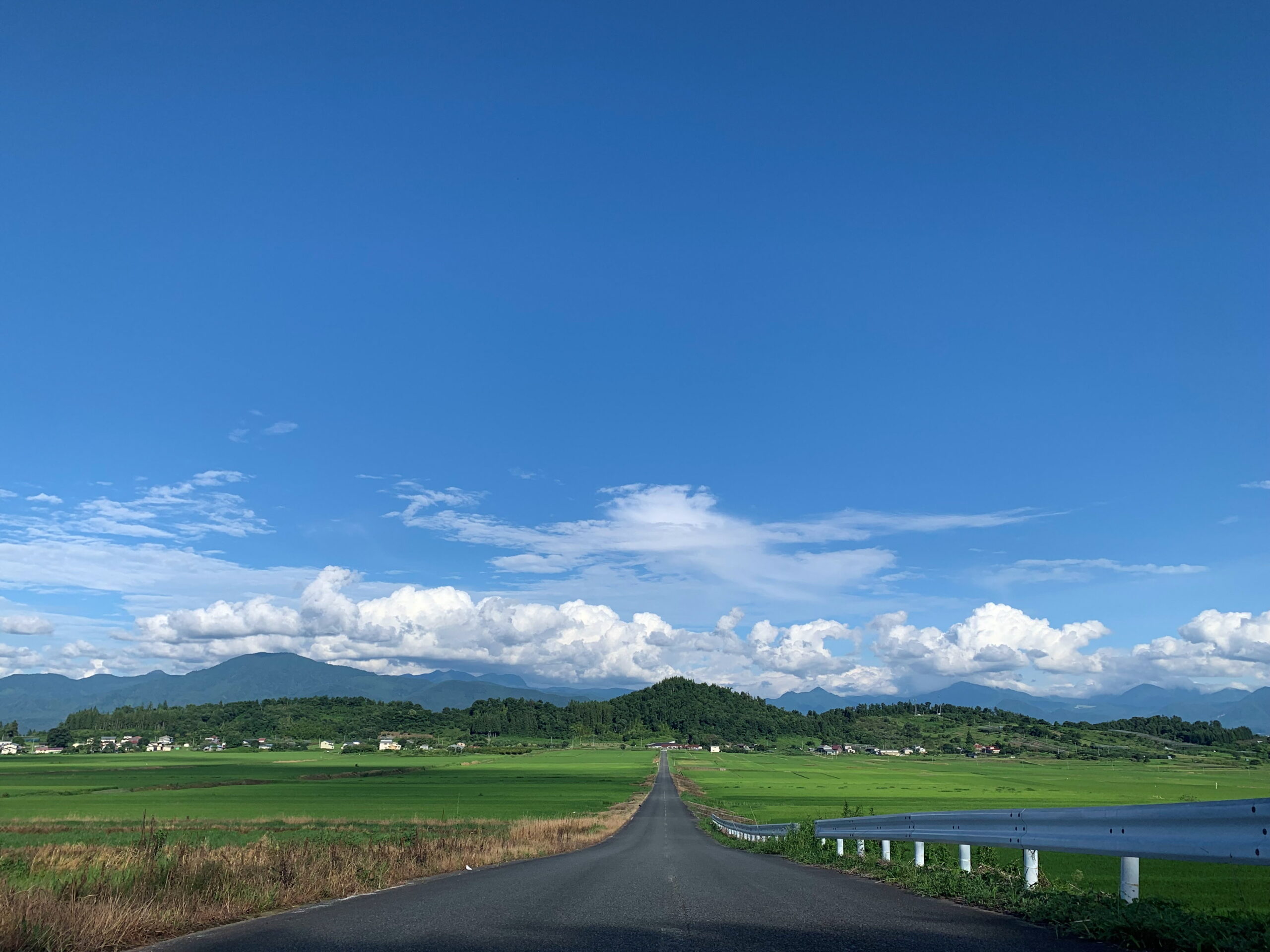 山形いいね