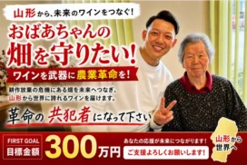 クラウドファンディング